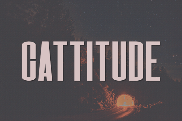 Cattitude: A Modern Sans Serif Font for Campaign Creativity