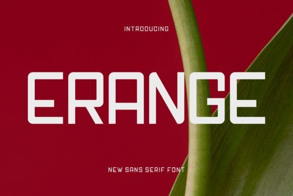 Erange: A Charming Sans Serif for Web Design