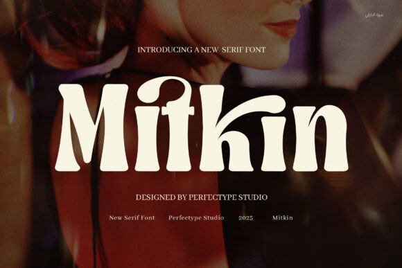 How Mitkin Transformed My Campaign Visuals