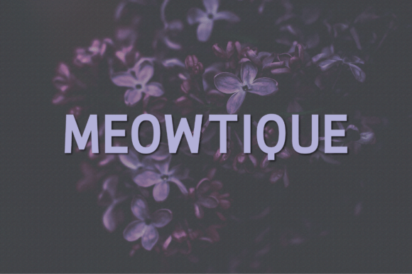 Meowtique: A Modern Sans Serif Font for Handmade Creations
