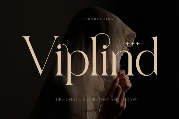 Viplind Serif Font for Modern Branding