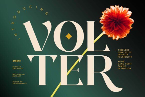 Volter: A Serif Font That Elevates Editorial Design